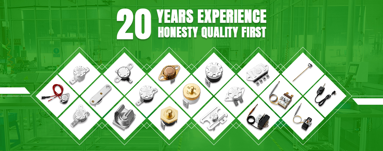 SEEGO温控器制造